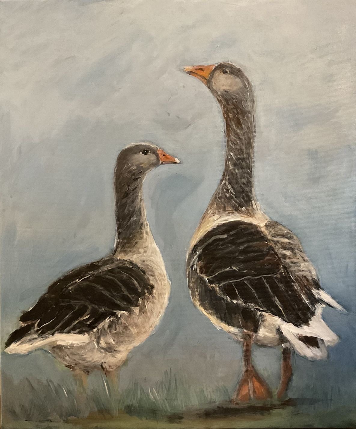 Grågæs på Johannes Larsen Museet - Fugle 2025